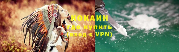 шишки Волоколамск