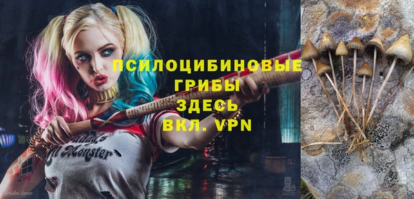 молекула духа Волосово