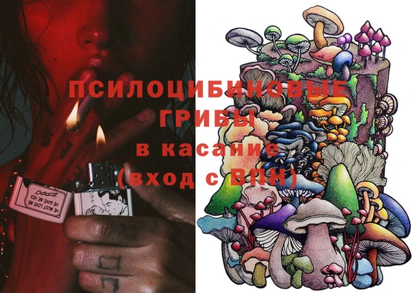 шишки Волоколамск