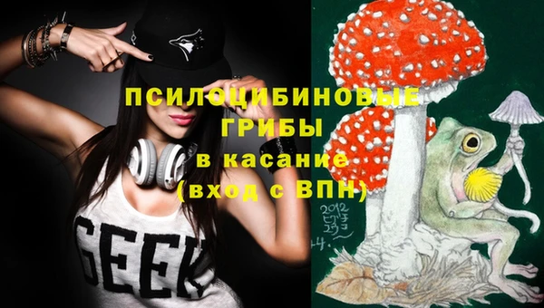 молекула духа Волосово