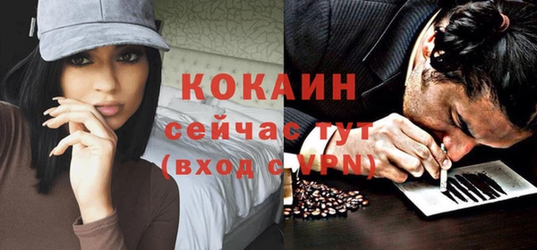 шишки Волоколамск