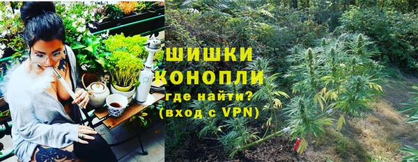 молекула духа Волосово