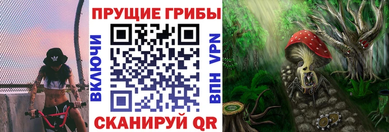 магазин продажи   Нестеровская  Галлюциногенные грибы Psilocybe 